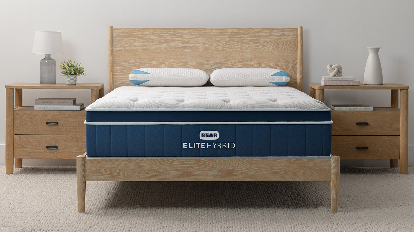 Elite Hybrid image 3