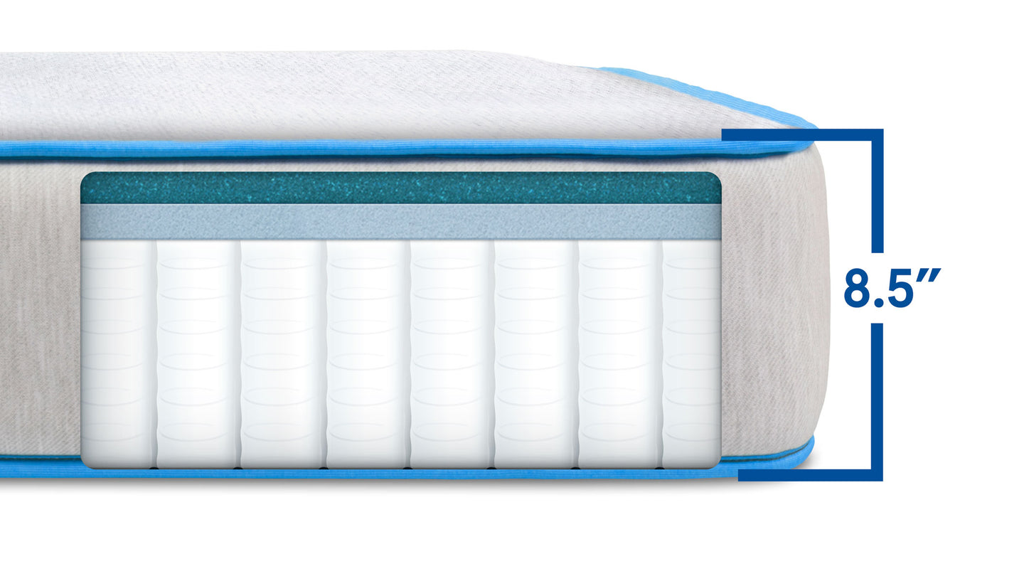 Bear Cub mattress side cutaway showing foam and coil layers and 8.5-inch height