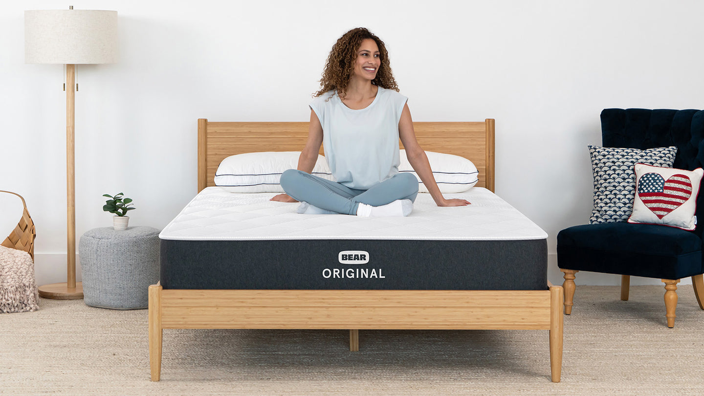 Bear Original image 6