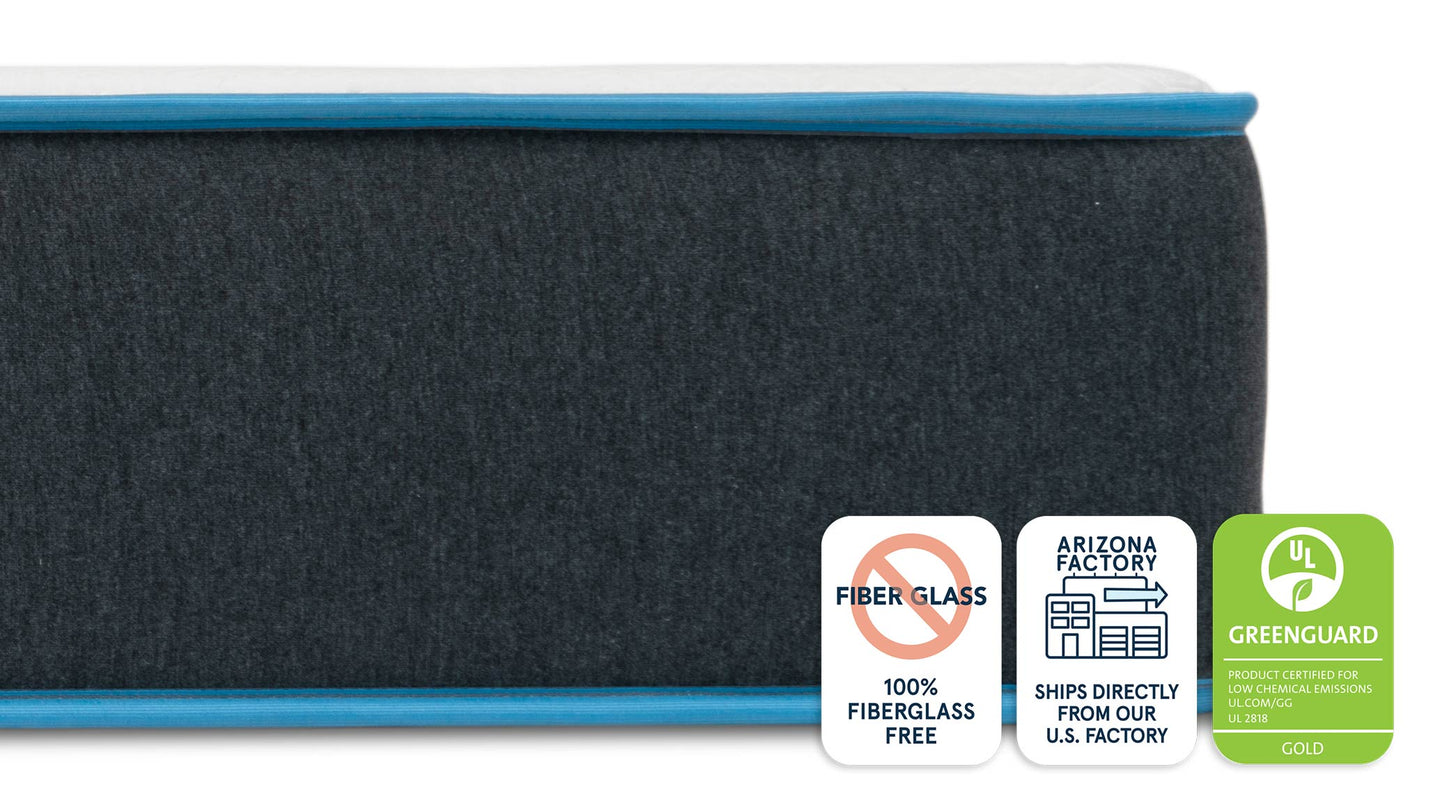 Bear Original image 5