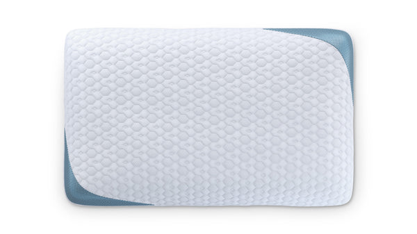 Bear Pillow — overhead view