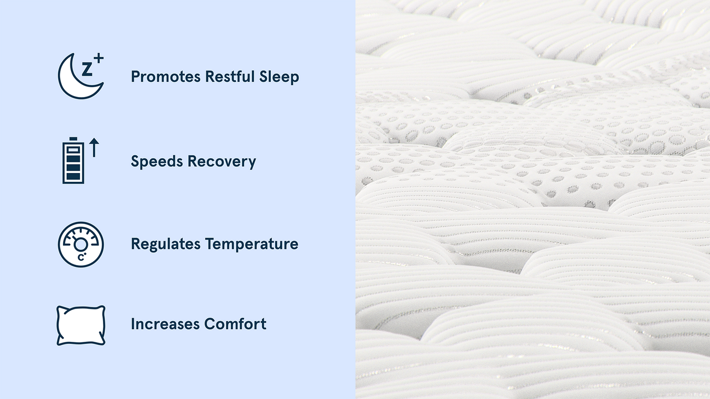 Elite Hybrid image 4