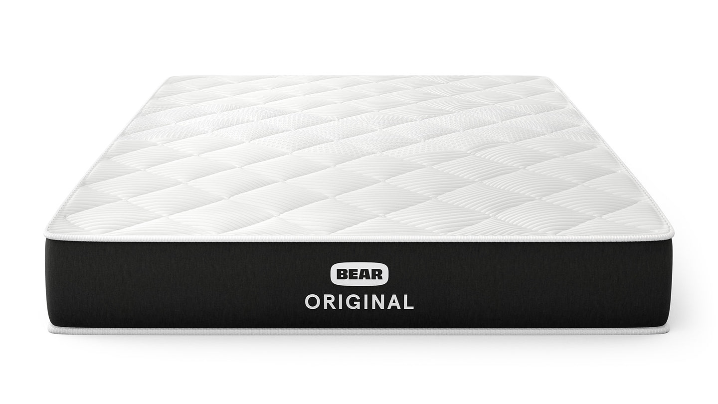 Bear Original image 7