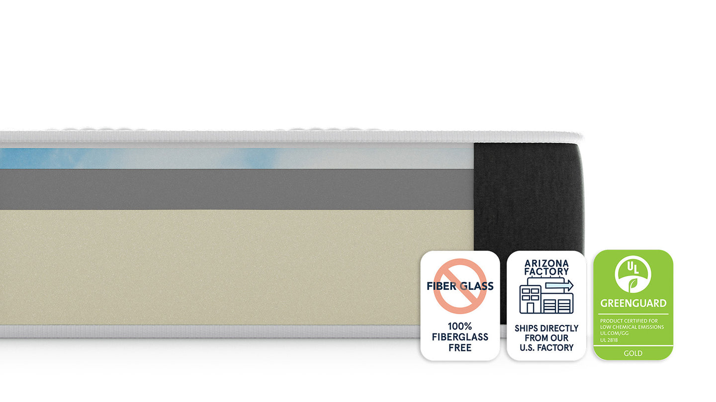 Bear Original image 4