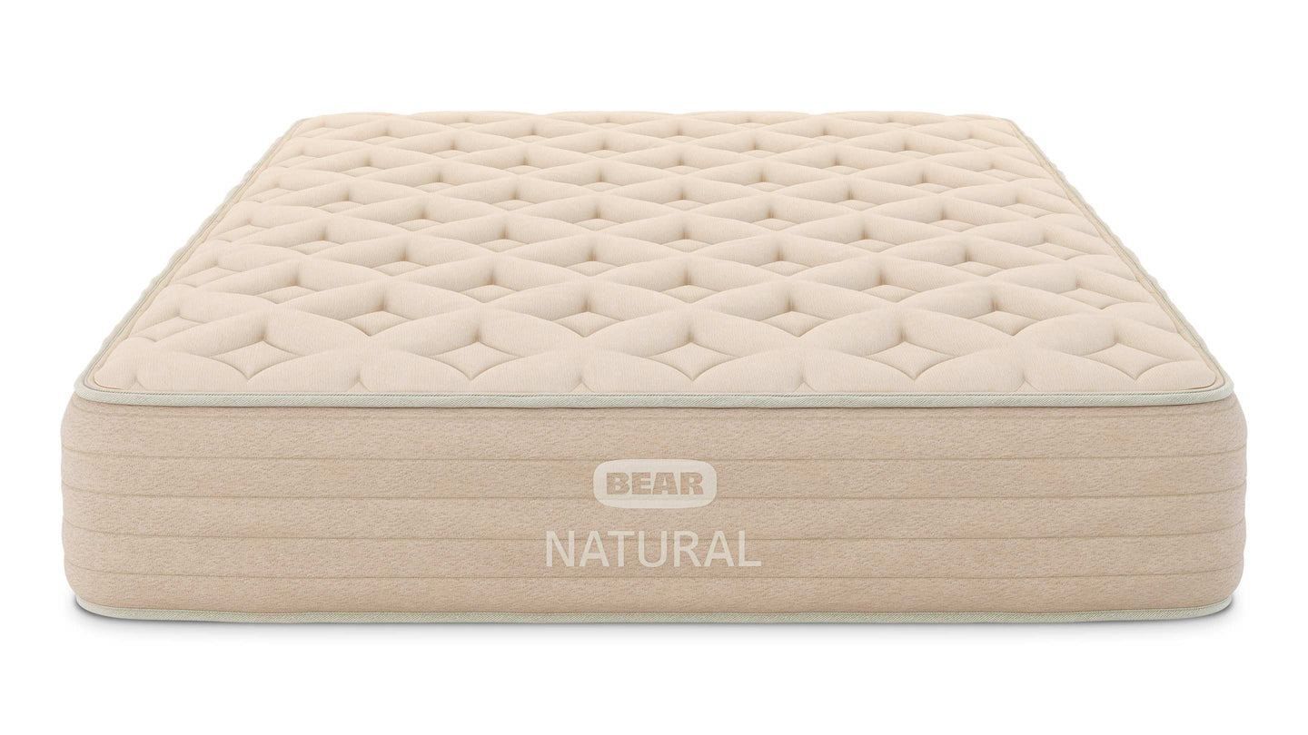 Bear Natural image 7