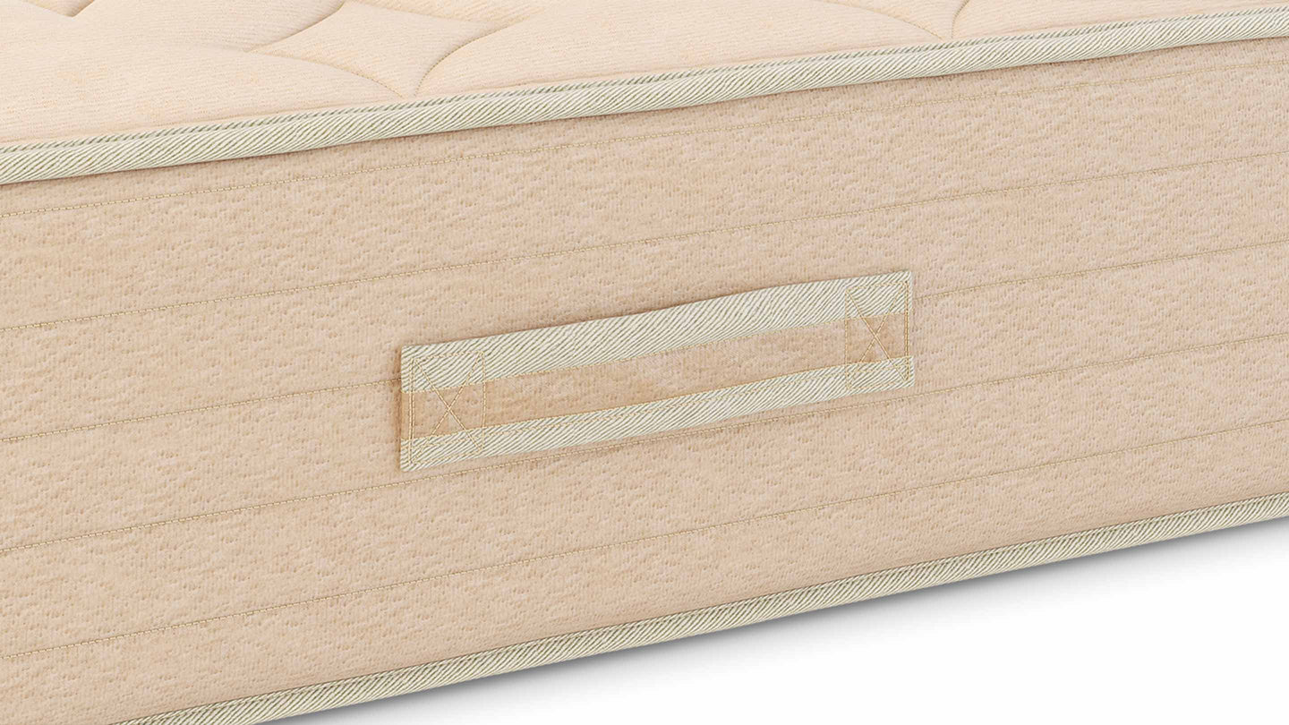 Bear Natural image 6