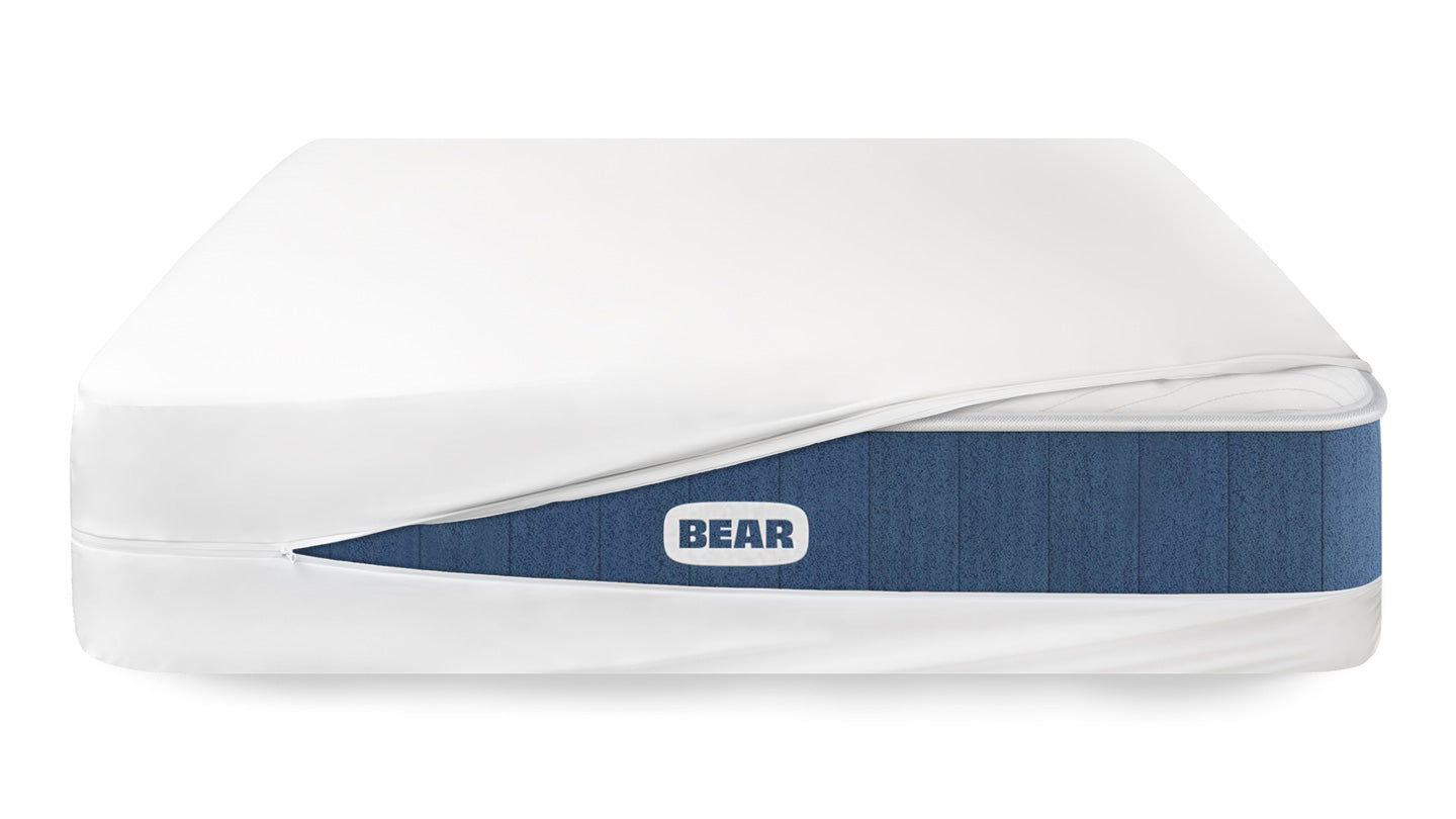 Bear Encasement image 2