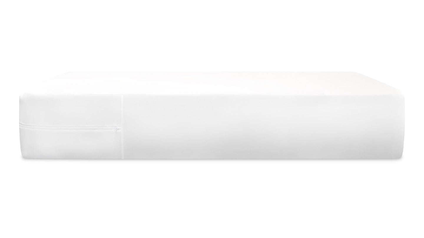 Bear Encasement image 4