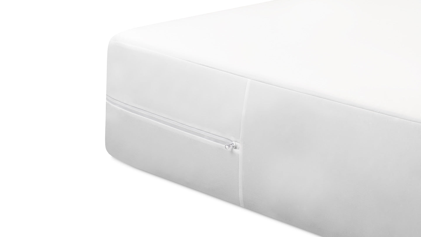 Bear Encasement image 5