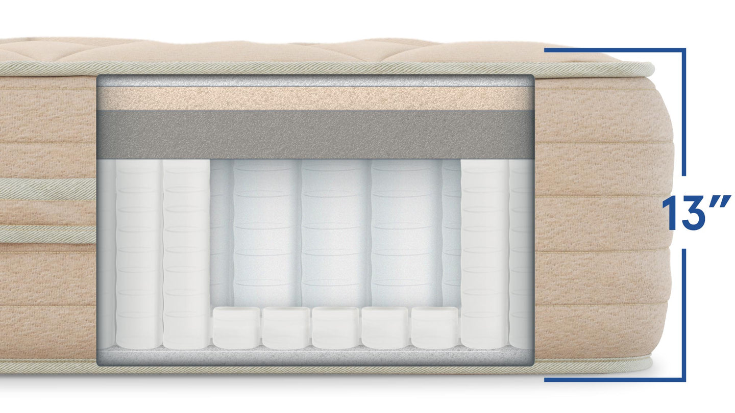 Bear Natural mattress side cutaway showing internal layers and 13-inch height
